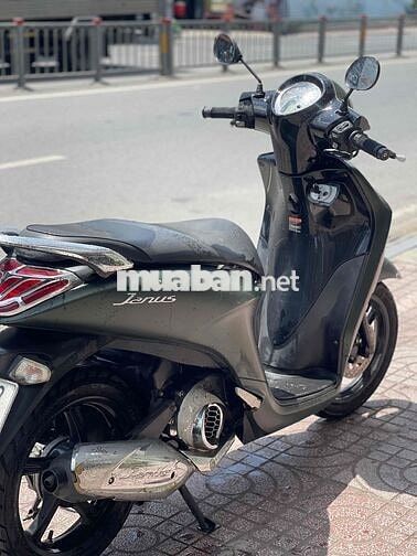 Yamaha Janus Xanh rêu
