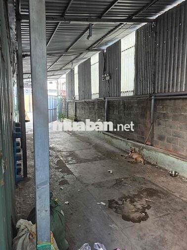 CHO THUÊ KHO XƯỞNG ĐƯỜNG THẠNH XUÂN 38, QUẬN 12 – DIỆN TÍCH 700M²