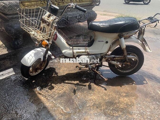 Honda Chaly C50 1994 Trắng Cổ điển