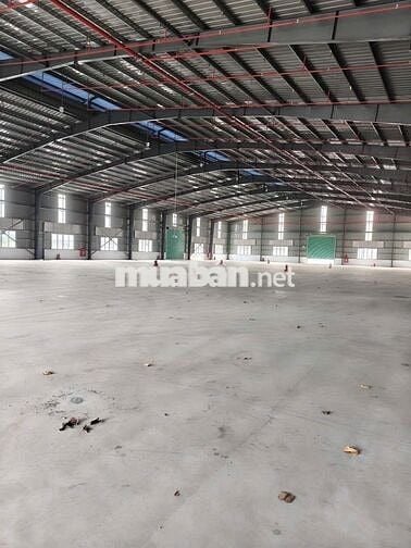 Cho thuê xưởng 3600m² KCN Đất Đỏ, điện 1200 KVA, PCCC tự động
