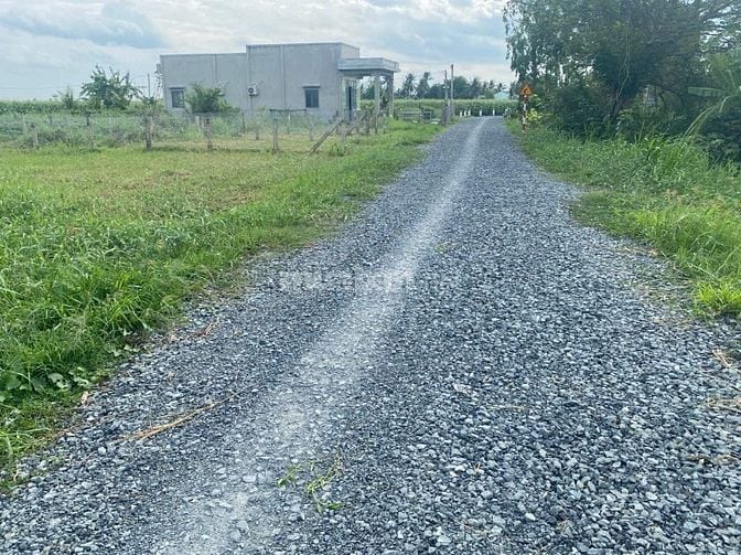  CẦN BÁN GẤP ĐẤT GIÁ TỐT – XÃ ĐỒNG SƠN, TỈNH ĐỒNG THÁP