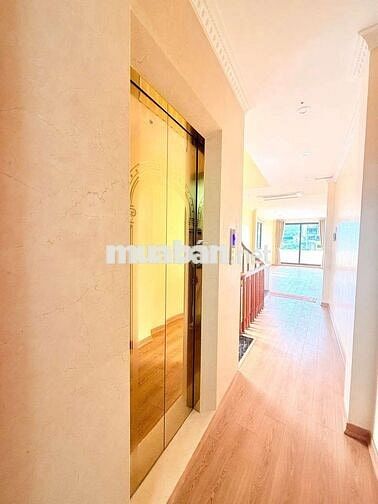 Cho thuê mặt phố Lãng Yên / Lương Yên,  6 tầng thang máy 50m2