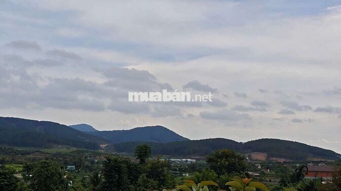 Đất ven Đà Lạt- 371m2 ( thực tế 500m2) 1.299 ty