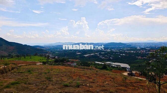 Bán lô đất view săn mây chỉ 3.3 tỷ
