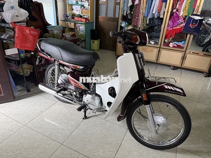 Honda Dream Thái 2023 Đỏ đô, Trắng