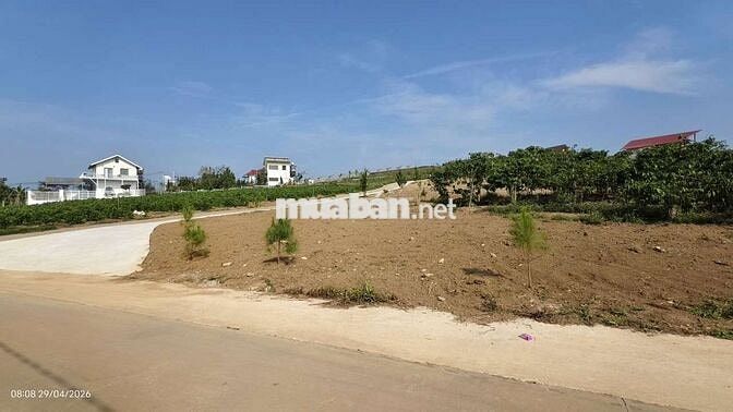 Bán đất view hồ Từ Liêm tại Nam Ban Lâm Hà- ven Đà Lạt