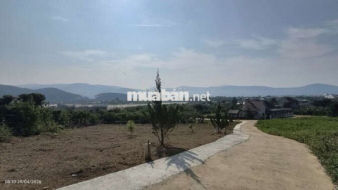 Bán đất view hồ Từ Liêm tại Nam Ban Lâm Hà- ven Đà Lạt