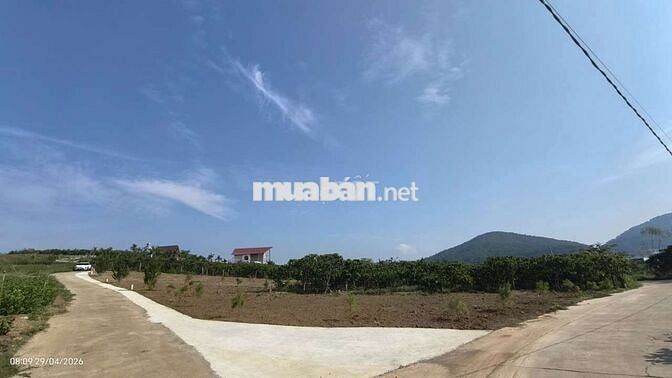 Bán đất view hồ Từ Liêm tại Nam Ban Lâm Hà- ven Đà Lạt