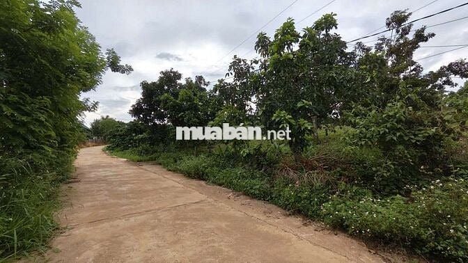 Đất ven Đà Lạt- 371m2 ( thực tế 500m2) 1.299 ty