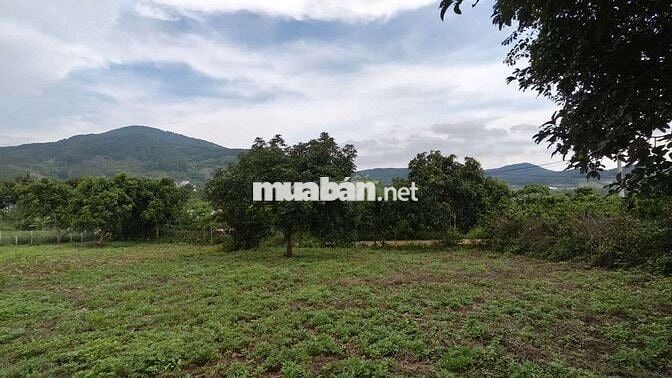 Đất ven Đà Lạt- 371m2 ( thực tế 500m2) 1.299 ty