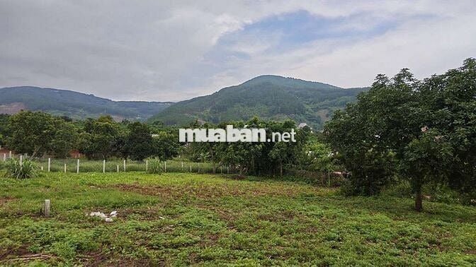 Đất ven Đà Lạt- 371m2 ( thực tế 500m2) 1.299 ty