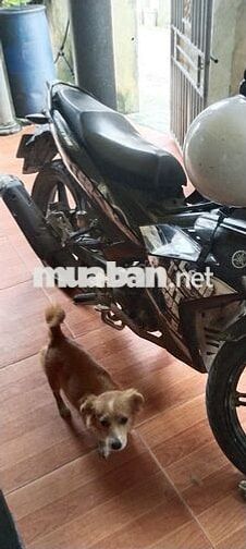 Yamaha Exciter 150 Bản đặc biệt 2018 Đen