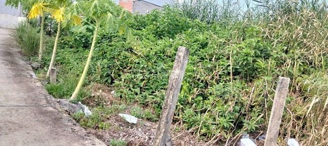 Hạ Giá Bán GẤP. ĐẤT ODT GIÁ CẠNH TRANH 