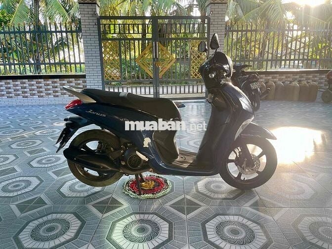 Yamaha Janus smk 9c biển 65