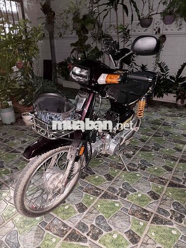 Honda Dream Trung Hoa 110cc Nâu nho Cổ điển