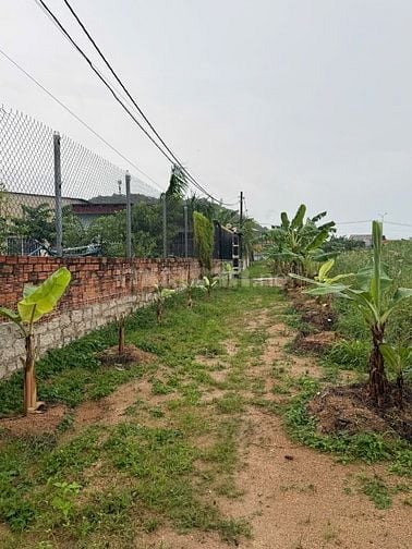 🔥 BÁN ĐẤT PHƯỜNG KIM DINH, TP. BÀ RỊA – GIÁ TỐT CHỈ 1 TỶ 550 TRIỆU