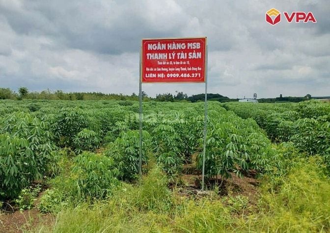 Thông báo đấu giá tài sản bảo đảm của bà Đặng Thị Hoa do MSB xử lý