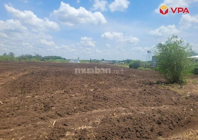 Thông báo đấu giá tài sản bảo đảm của bà Đặng Thị Hoa do MSB xử lý