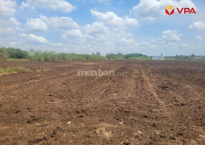 Thông báo đấu giá tài sản bảo đảm của bà Đặng Thị Hoa do MSB xử lý