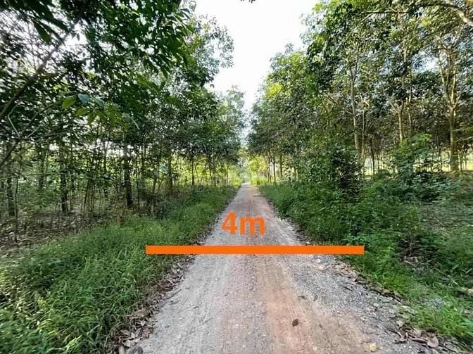 Công ty Đấu giá hợp danh Lam Sơn Sài Gòn THÔNG BÁO ĐẤU GIÁ TÀI SẢN