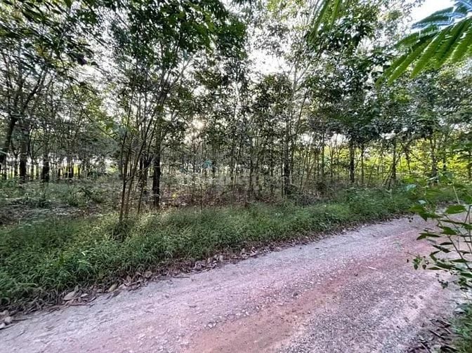 Công ty Đấu giá hợp danh Lam Sơn Sài Gòn THÔNG BÁO ĐẤU GIÁ TÀI SẢN