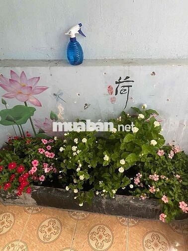 Bán nhà Phùng Văn Cung .30m2,2 Tầng, 2PN, Mặt tiền xe tải tránh, TL