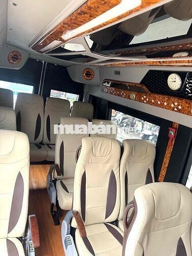Hyundai Solati Limousine 2019 Trắng 16 chỗ