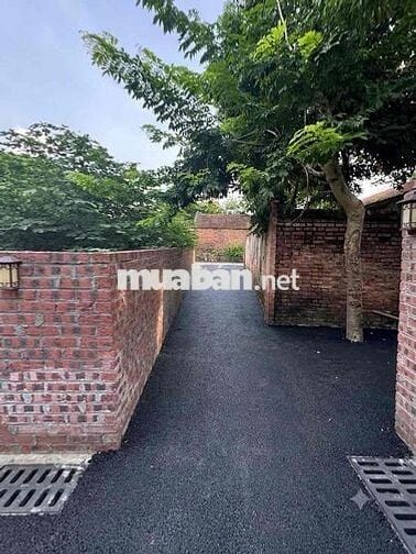 Bán Đất Phân Lô. Thiết ứng - Thư Lâm ( Đông Anh - HN) Chỉ 45tr / m2 👉