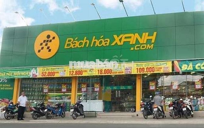 Tuyển dụng nhân viên Bách Hoá Xanh Quận 5