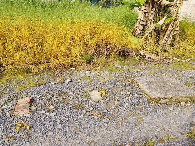 Cần bán lô đất xã Bình Mỹ củ Chi 