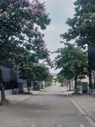 Bán 250m2 lô biệt thự khu Đô Thị Nguyên Khê,Phúc Thịnh,Hà Nội