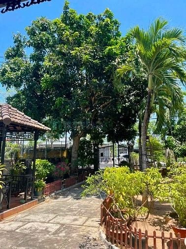 Mặt tiền 495 Võ Thị Sáu, xã Long Điền, Bà Rịa (TP.HCM mới)