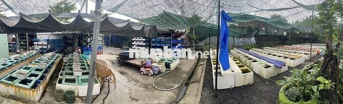 TUYỂN SINH VIÊN PHỤ VIỆC TRẠI CÁ