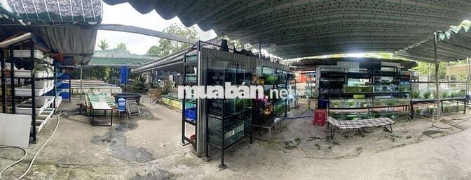 TUYỂN SINH VIÊN PHỤ VIỆC TRẠI CÁ