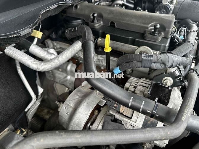 Ford Ranger XLS 2021 1 cầu Tự động Trắng