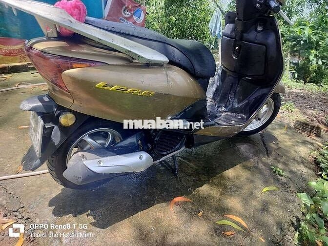 Honda Lead 110 Nâu