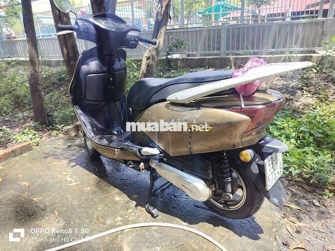 Honda Lead 110 Nâu