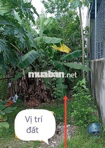 Bán đất 100m² (5×20) gần chợ Phú Sơn, Bắc Sơn, giá tốt