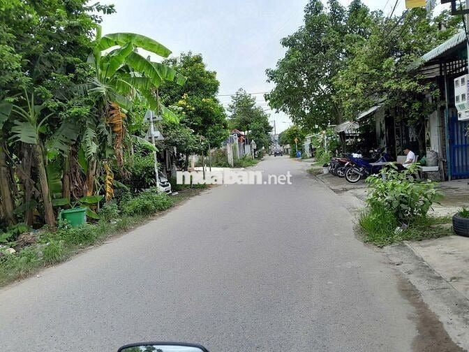 HÀNG ĐẦU TƯ BÁN ĐẤT ĐƯỜNG DX006 PHÚ MỸ THỦ DẦU MỘT 181M² NGANG 6M-4.1