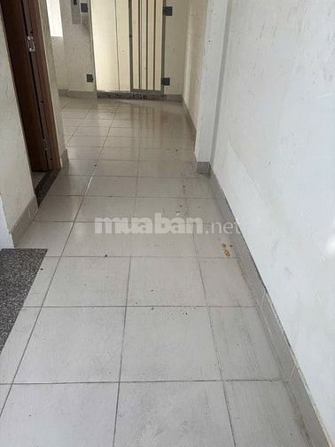 Cho thuê nhà nguyên căn 1004 Lạc Long Quân, TP HCM