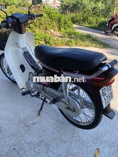 Honda Super Dream 1999 Nâu, Trắng