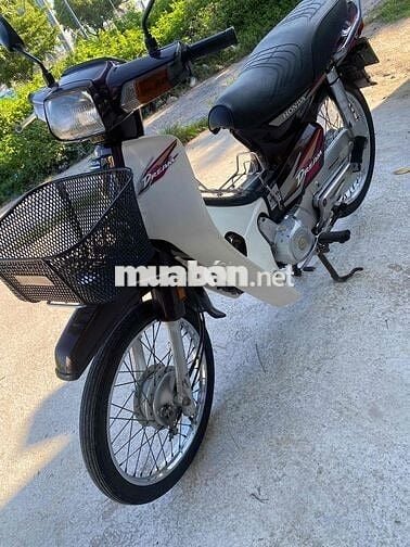 Honda Super Dream 1999 Nâu, Trắng