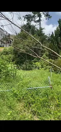 ĐẤT DỰ ÁN GREEN ĐÀ LẠT,ĐẤT NỀN CHÍNH CHỦ
