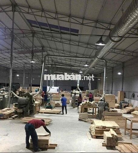 Cho Thuê Nhà Xưởng (2.000m2, điện 3Fa) gần Ngã 5 Năm Hải Dương, T.Tân