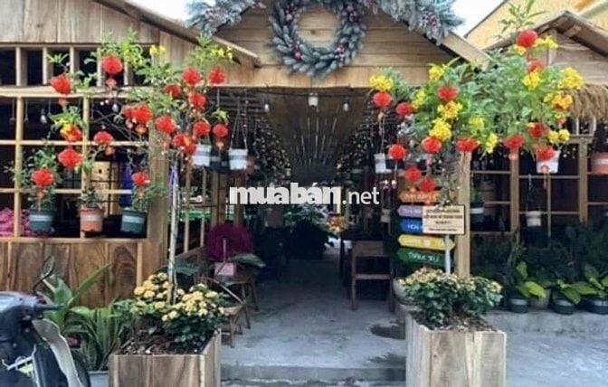 cho thuê nhà kinh doanh F&B trung tâm quận 3 dtsd 250m2 giá cực hời