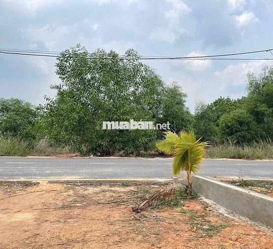 Đất Tân Định nhựa 6m làm kho xưởng bãi ve chai ok 15x83 thổ 185m