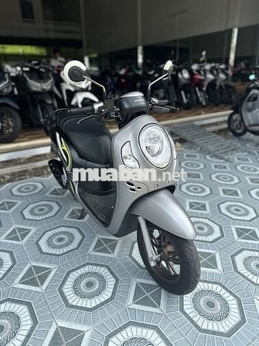 Honda Scoopy 2024 Xám