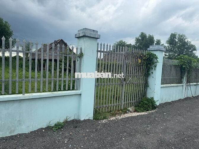 Chốt ngay lô đất Tỉnh Lộ 2 diện tích 518m2 (15x35) nở hậu 1ty6 tl