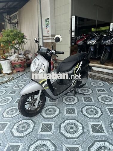 Honda Scoopy 2024 Xám