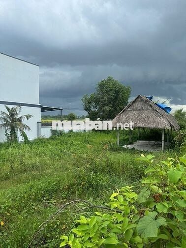Chốt ngay lô đất Tỉnh Lộ 2 diện tích 518m2 (15x35) nở hậu 1ty6 tl